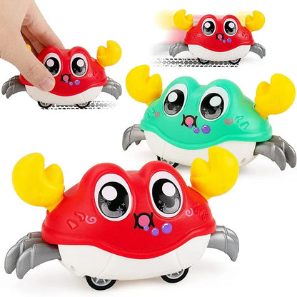 Walking Crawling Crab