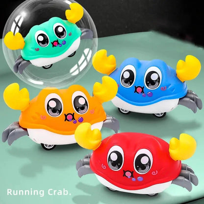 Walking Crawling Crab